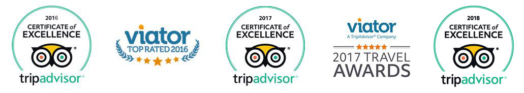 tripadvisor and viator awards